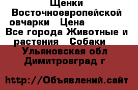 Щенки Восточноевропейской овчарки › Цена ­ 25 000 - Все города Животные и растения » Собаки   . Ульяновская обл.,Димитровград г.